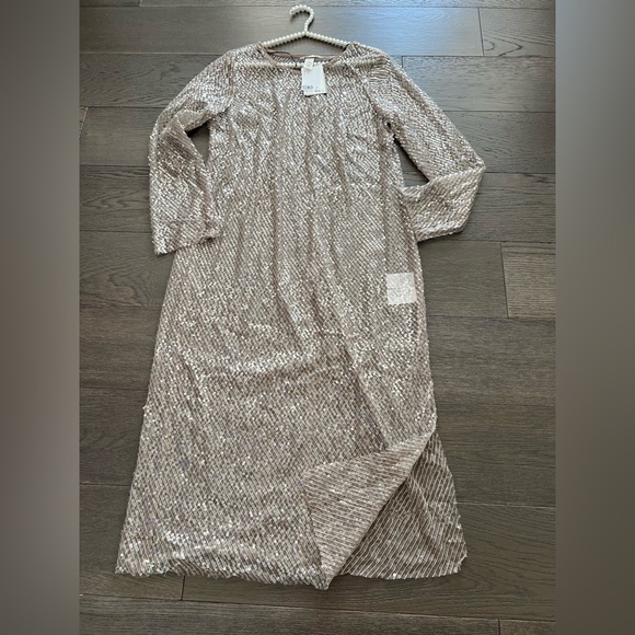 H&M Women’s sequin Beige Mesh dress Brand new Sz Large - Picture 8 of 15